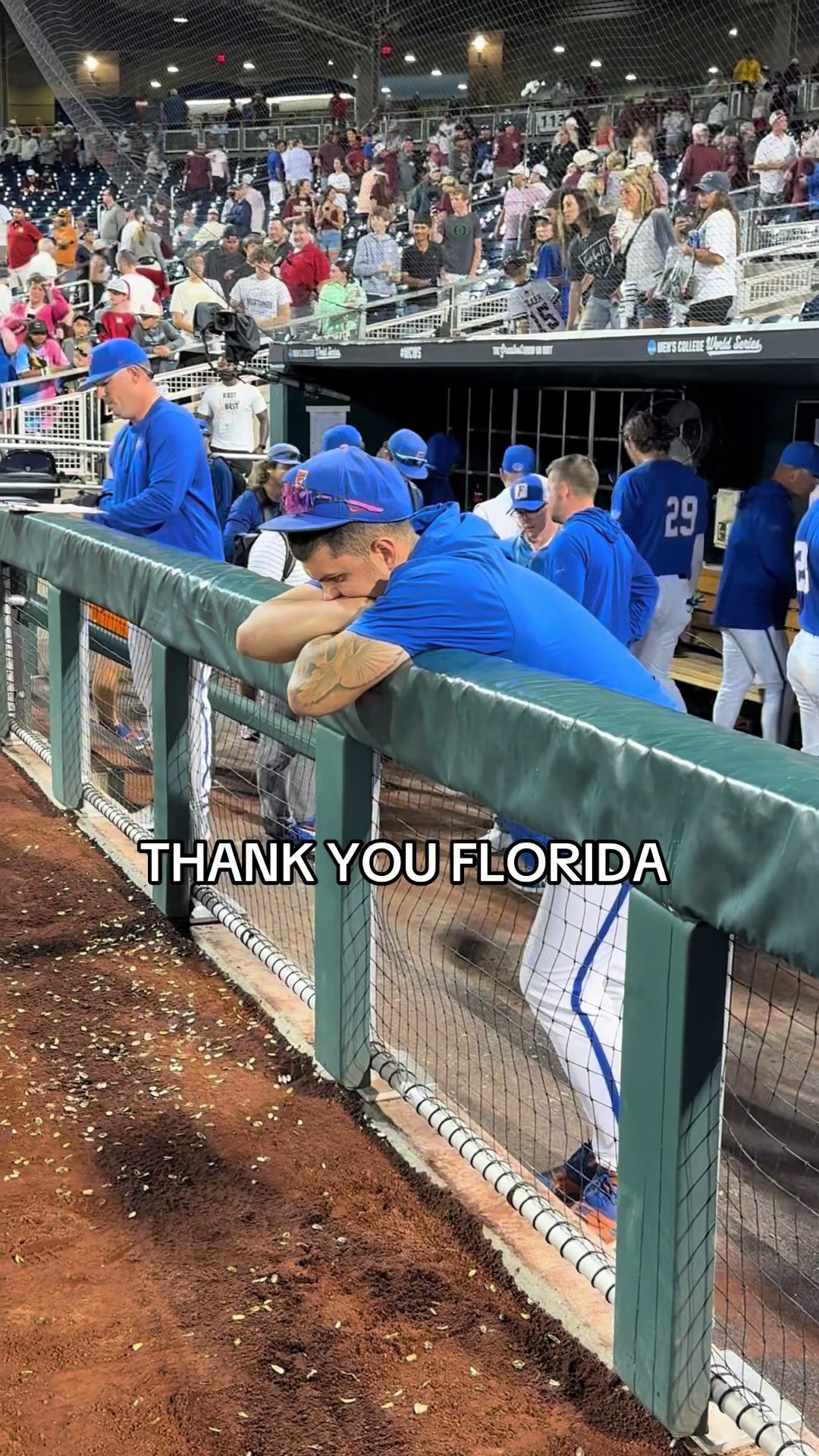 Video post by @ncaabsb on TikTok