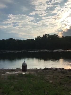 Video post by @horizon_project on TikTok