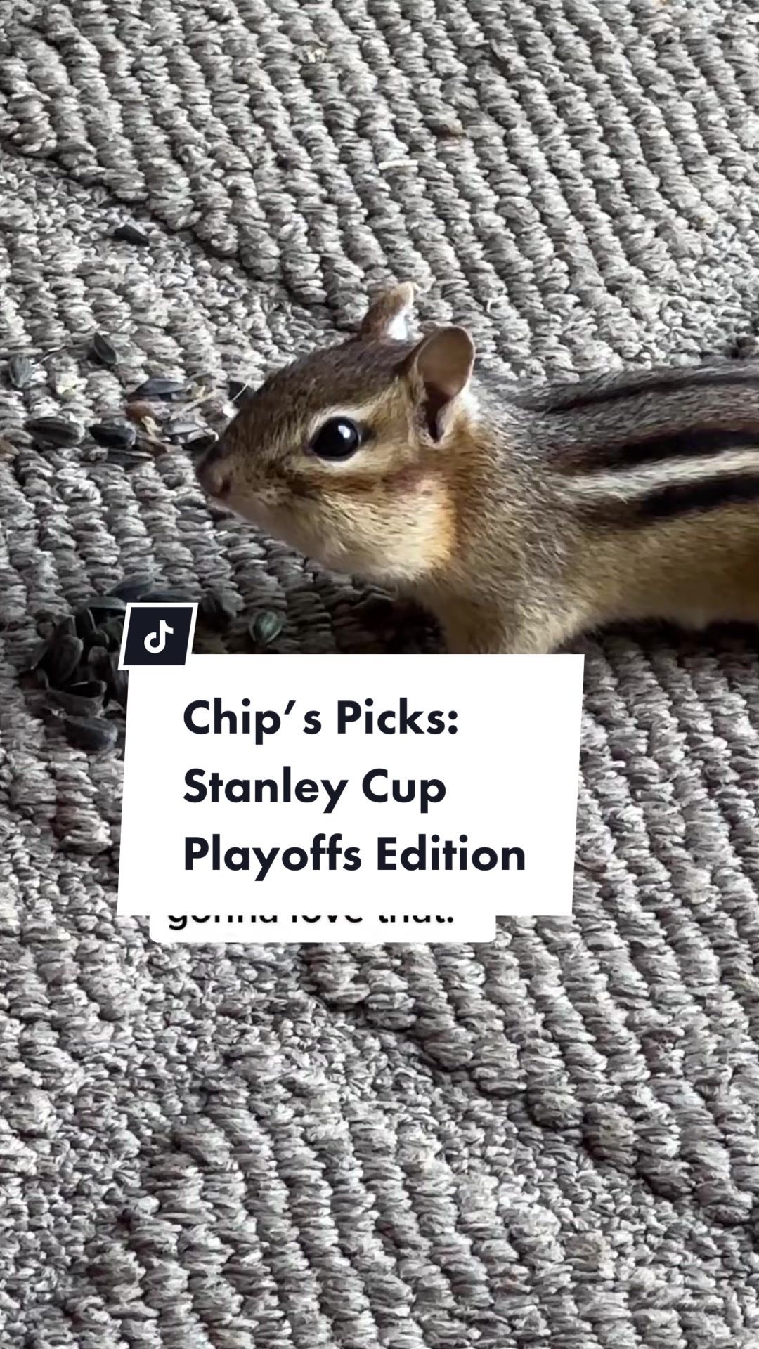 Video post by @alyssacronin13 on TikTok