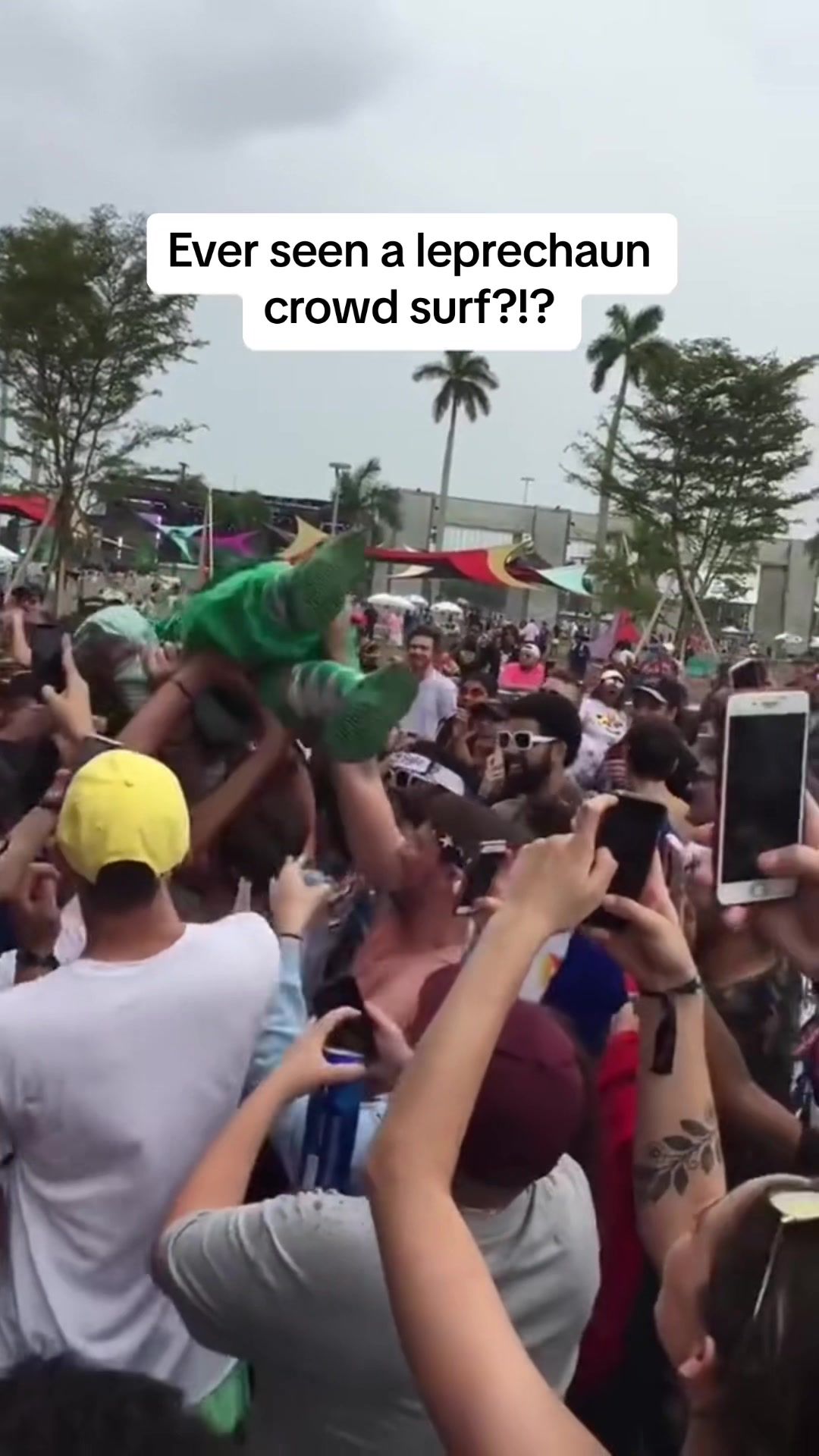 Video post by @rollingloud on TikTok