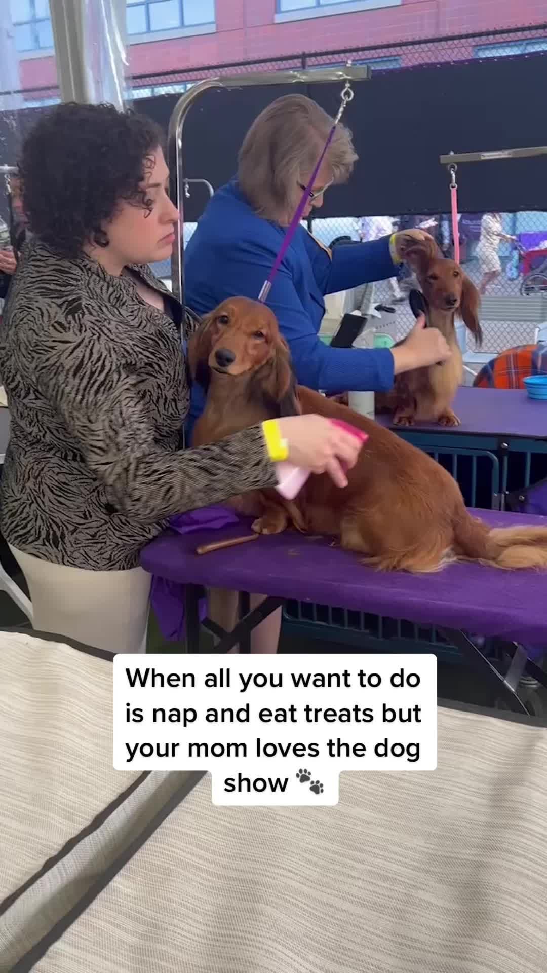 Video post by @foxsports on TikTok