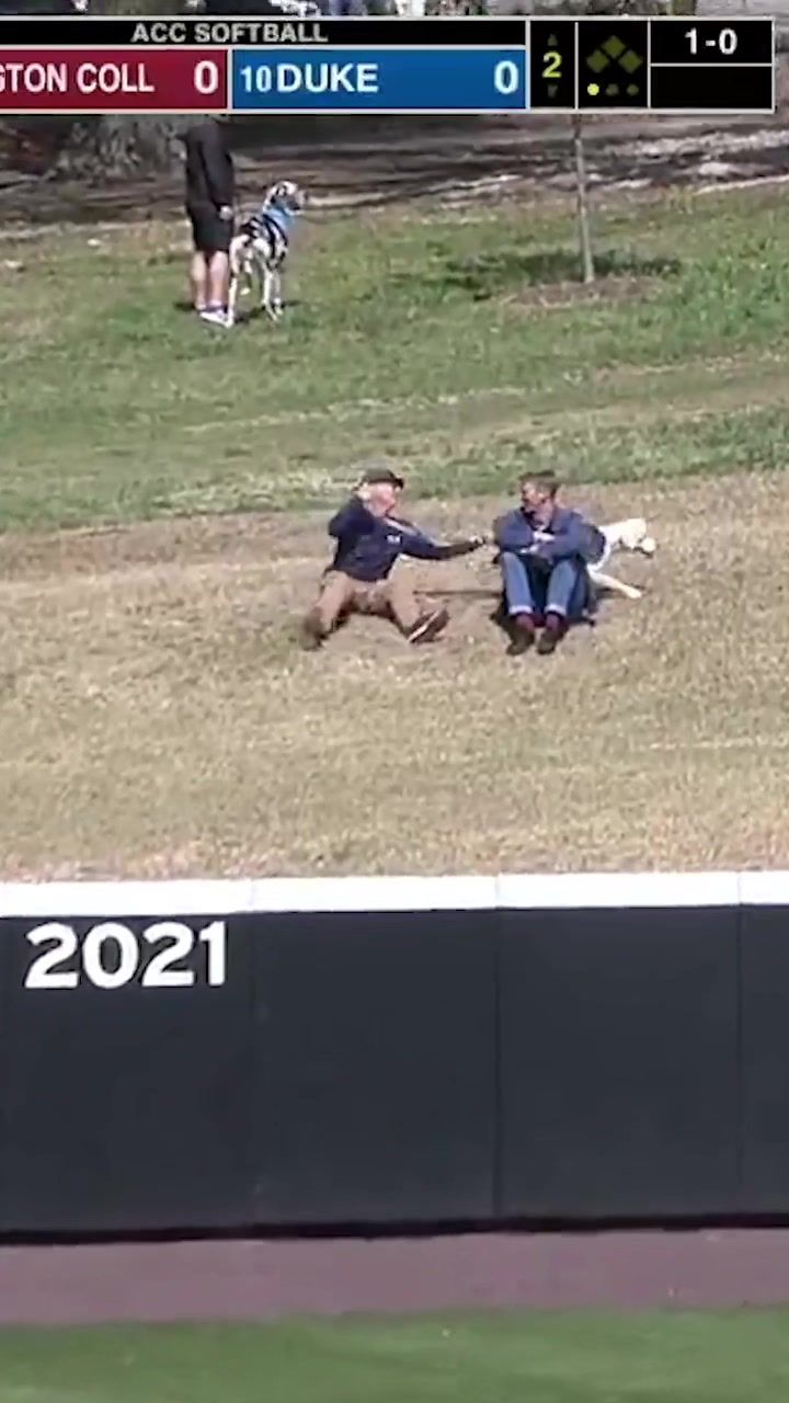 Video post by @dukeathletics on TikTok