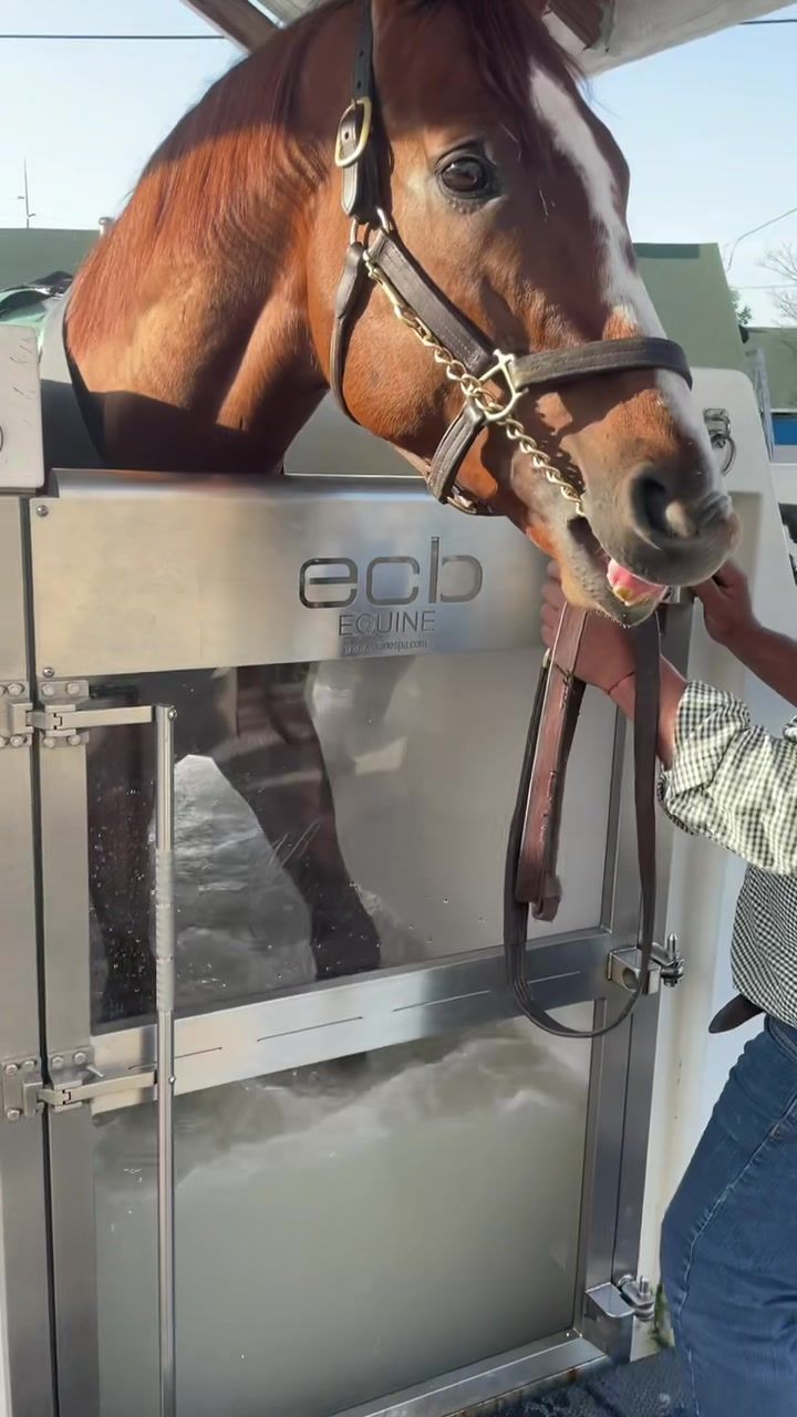 Video post by @kentuckyderby on TikTok