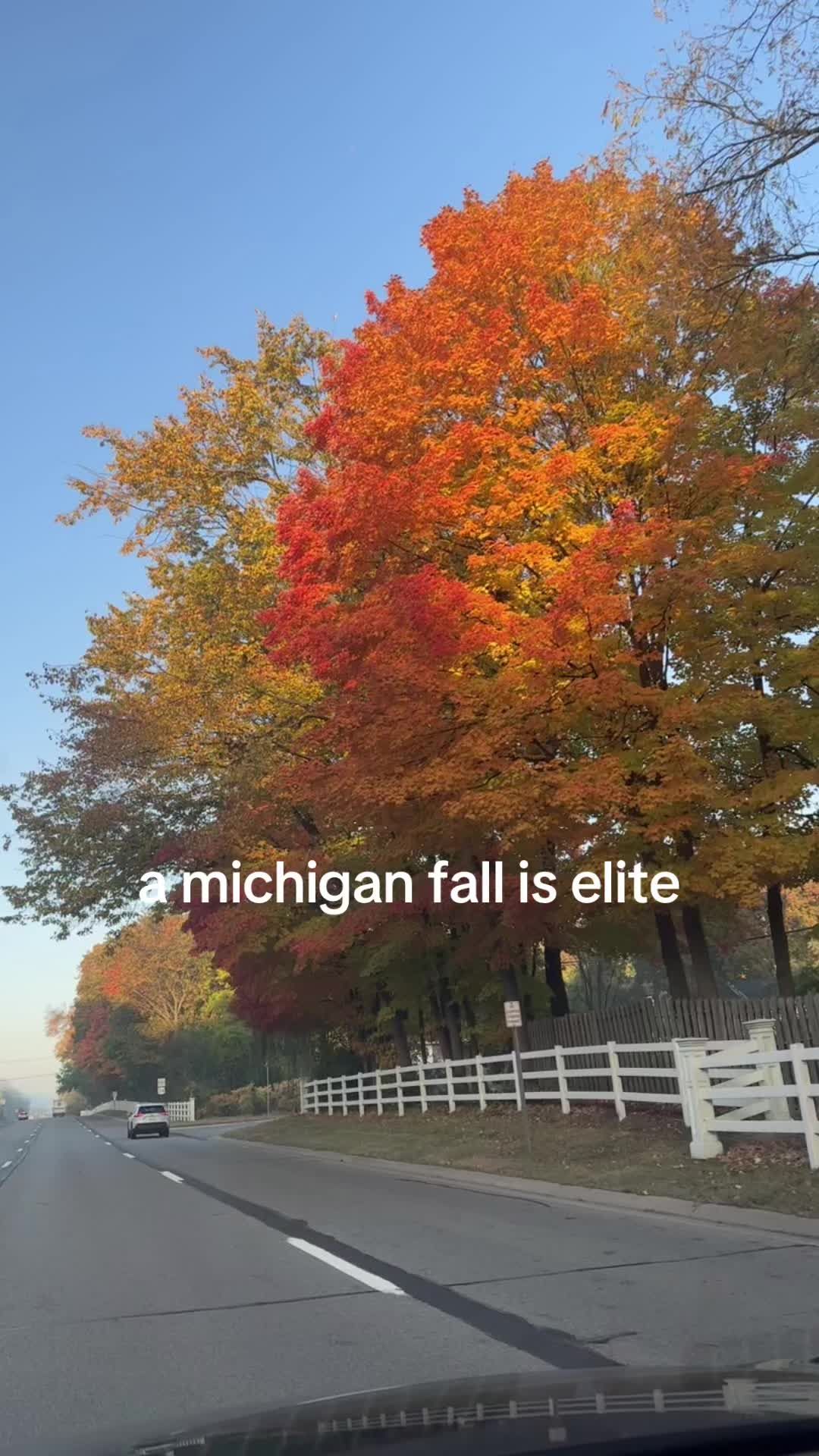 Video post by @collectivelykaitlyn on TikTok