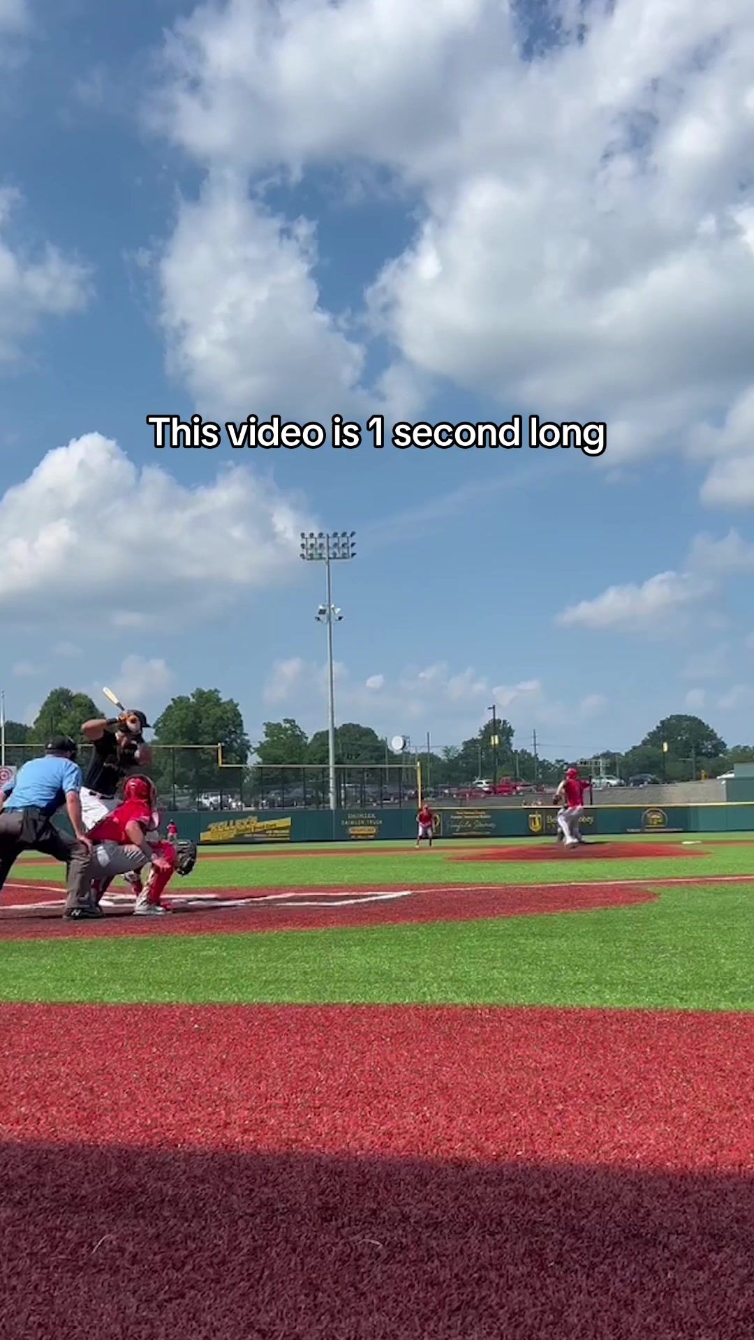 Video post by @gohoneyhunters on TikTok