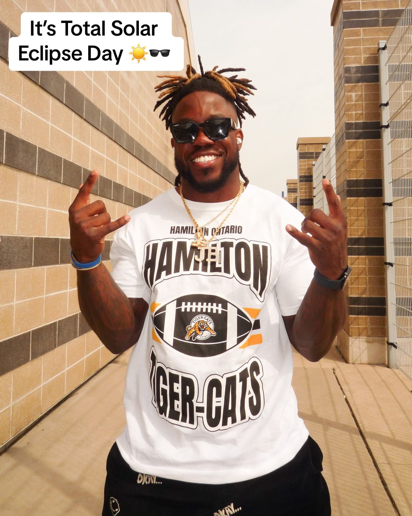 Image post by @hamiltonticats on TikTok