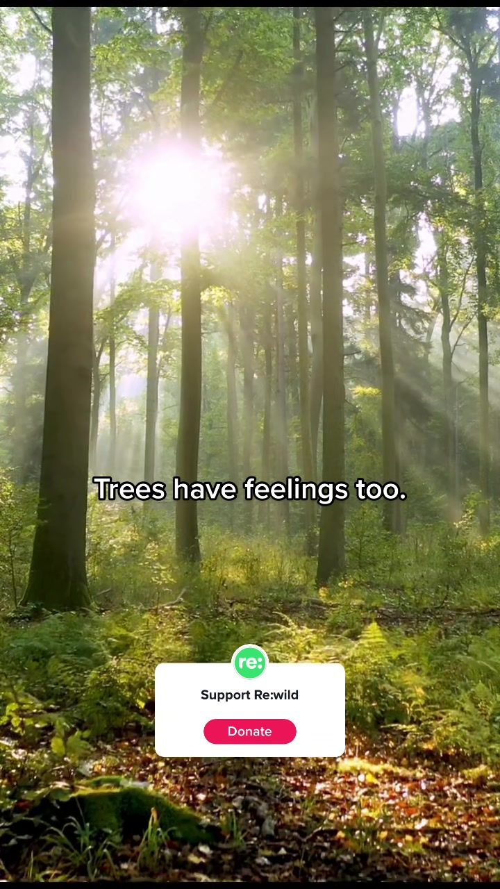 Video post by @rewild on TikTok