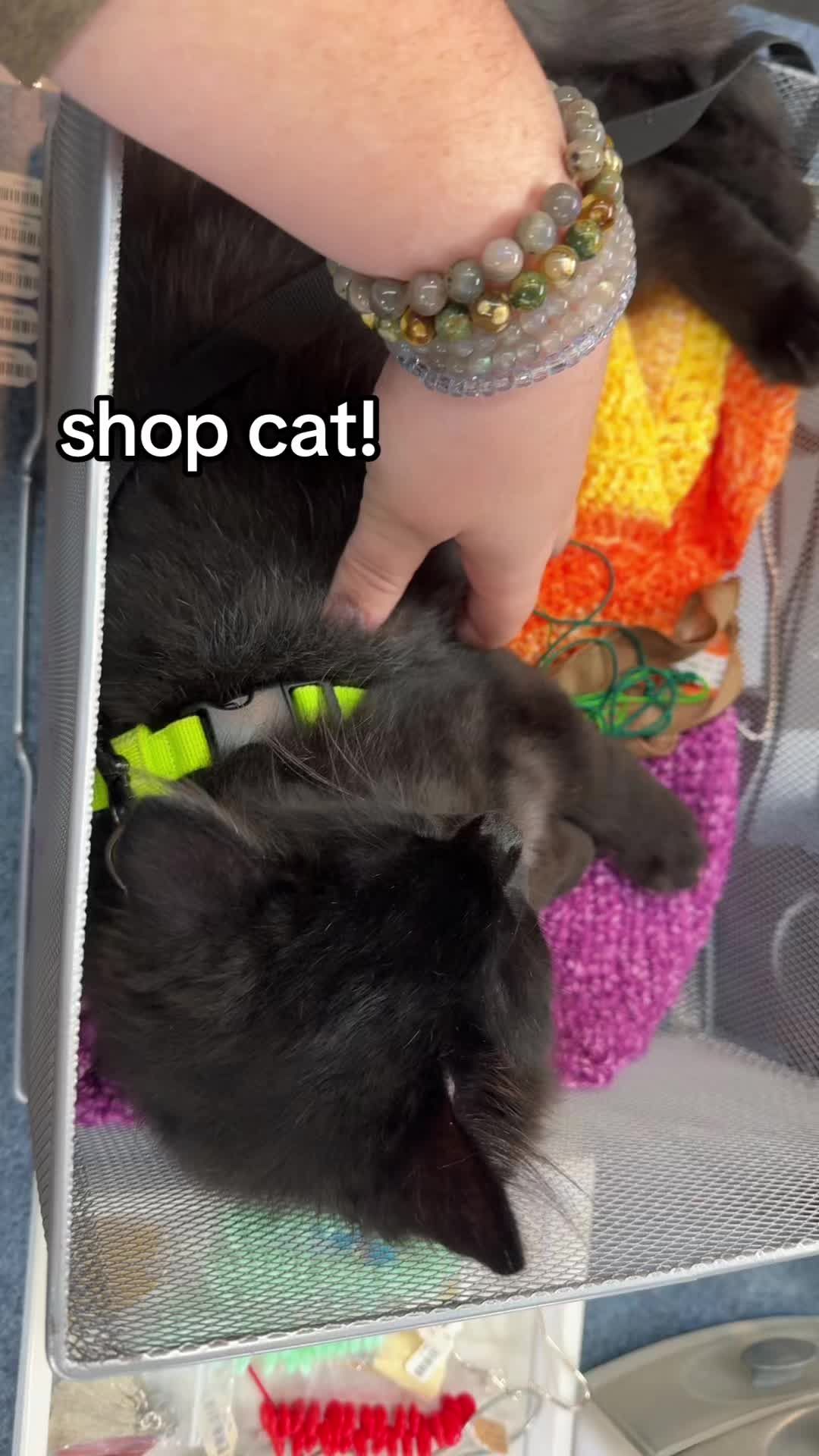 Video post by @beadcache on TikTok