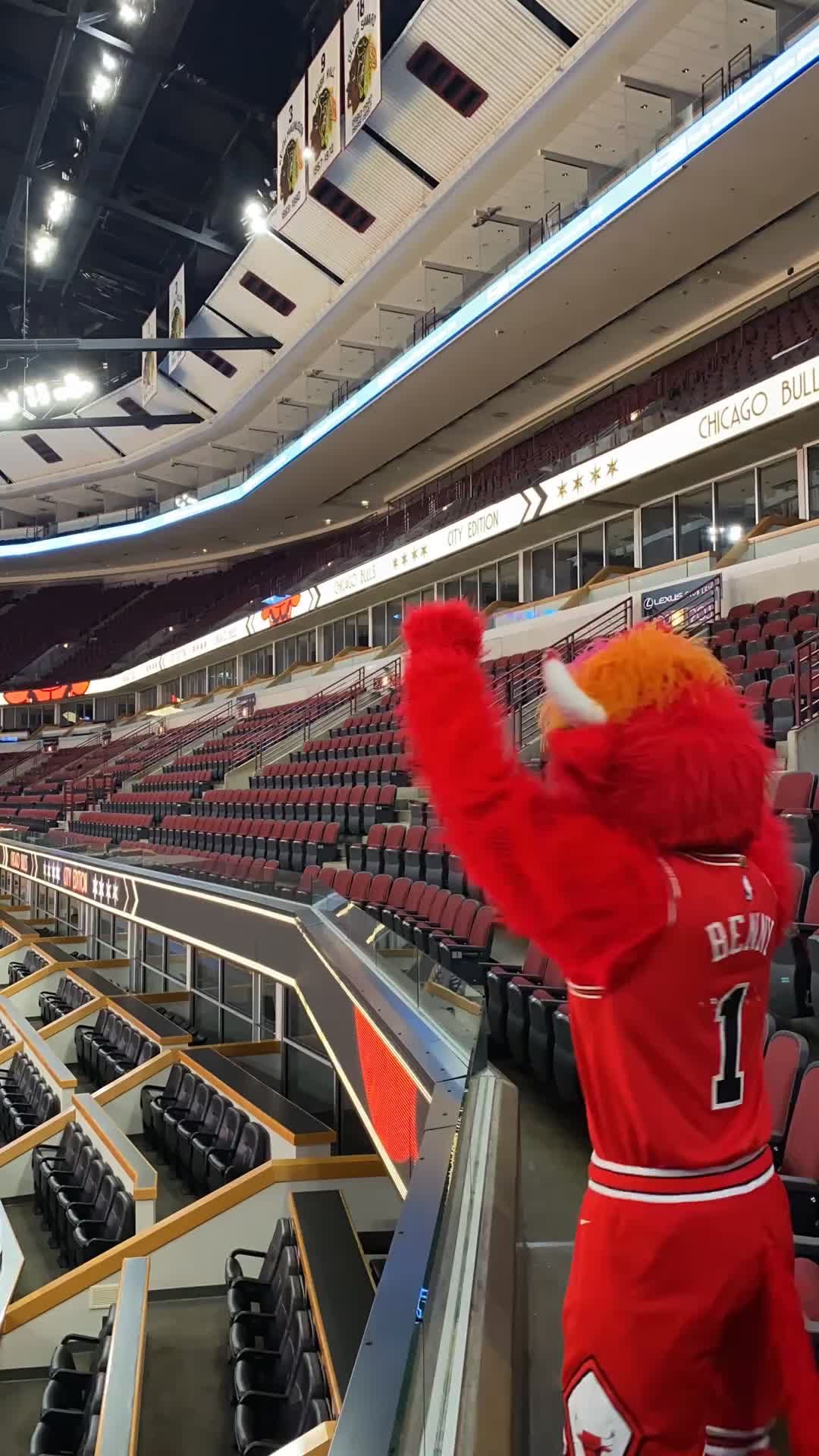 Video post by @bennythebull on TikTok
