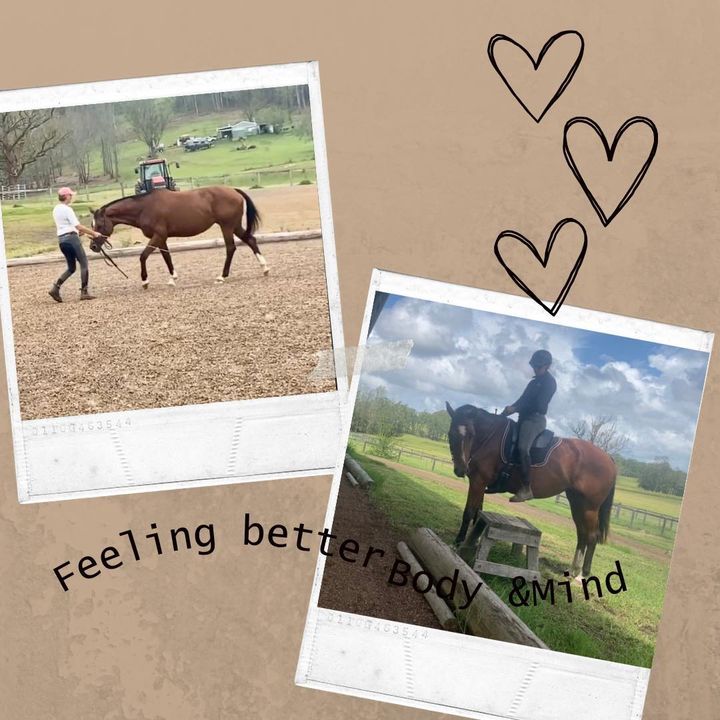 Image post by @ankehawkebalanceddressage on Facebook