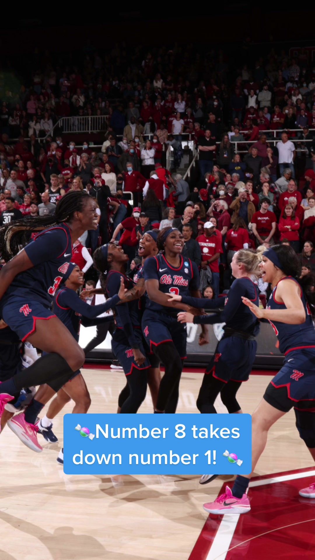 Video post by @marchmadnesswbb on TikTok