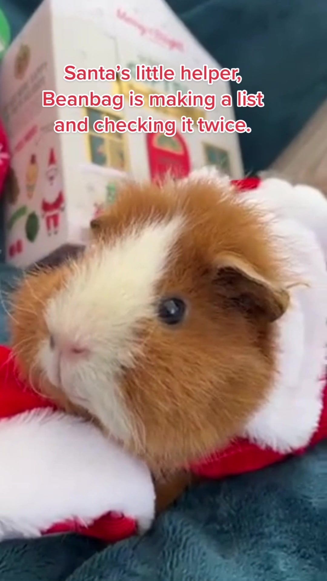 Video post by @petsmart on TikTok