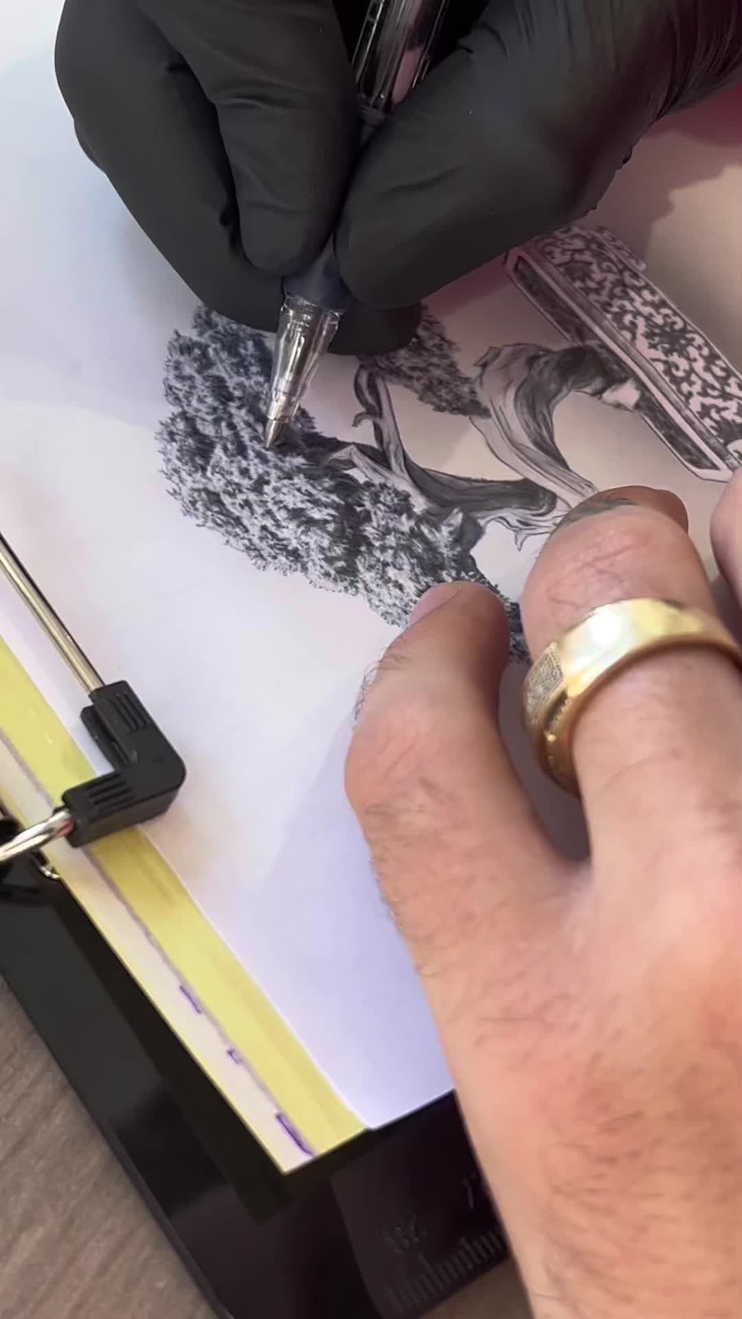 Video post by @sovereigngallery on TikTok