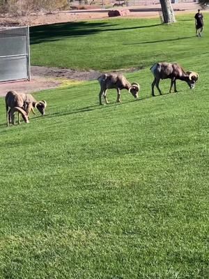 Video post by @ on TikTok