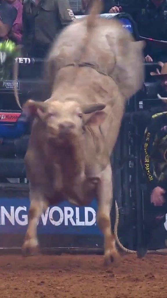 Video post by @pbr on TikTok