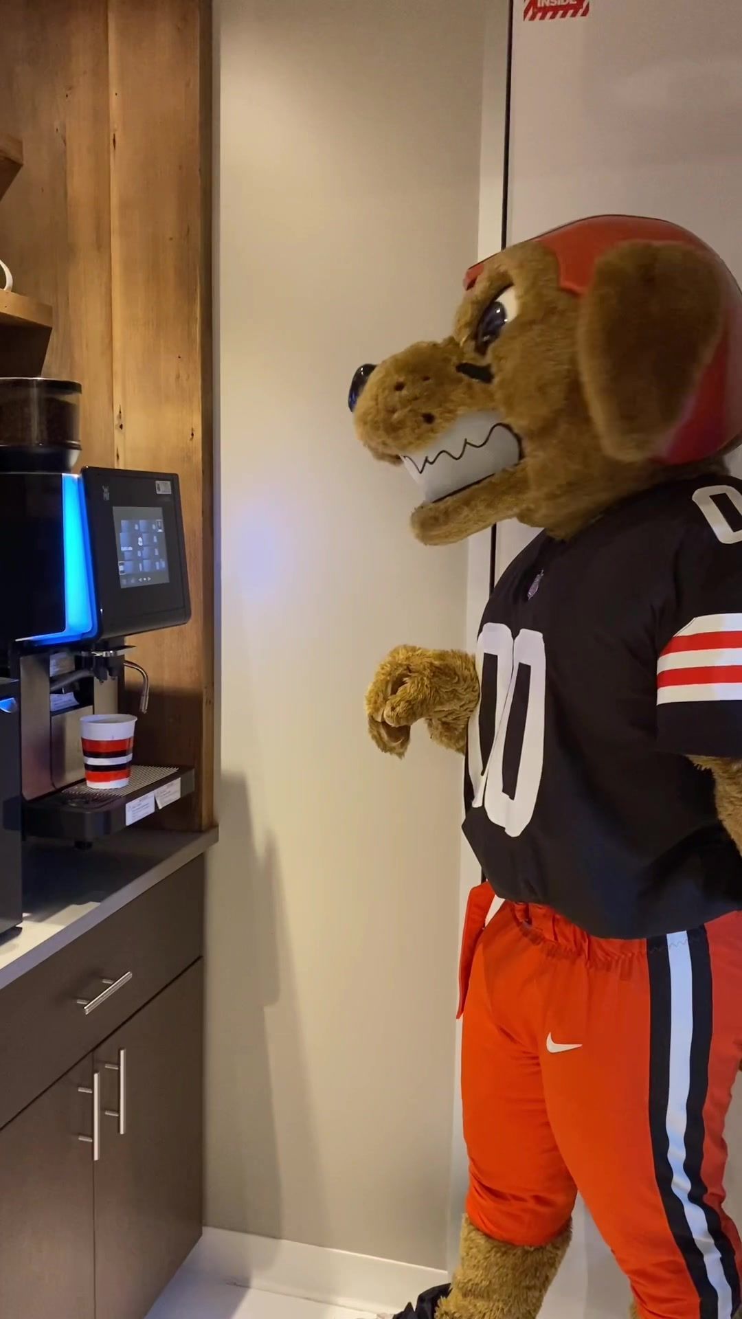 Video post by @browns on TikTok
