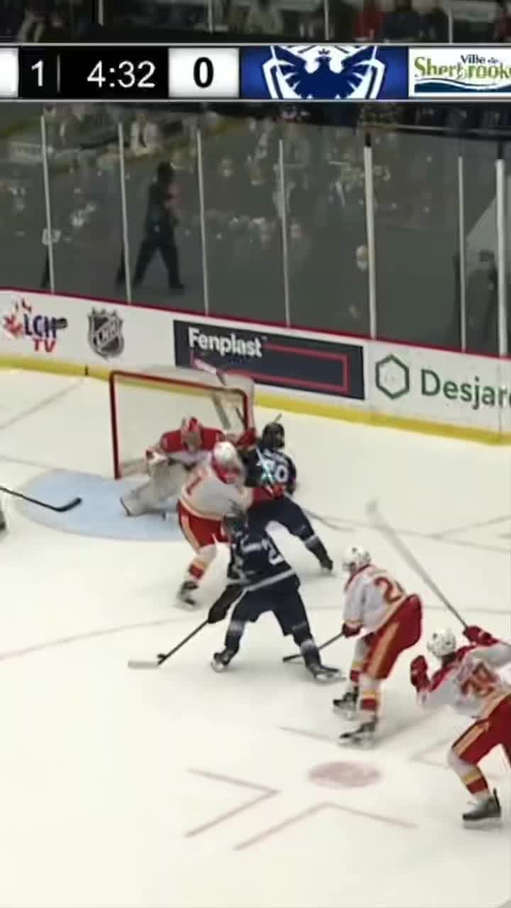 Video post by @phoenixsherbrooke on TikTok