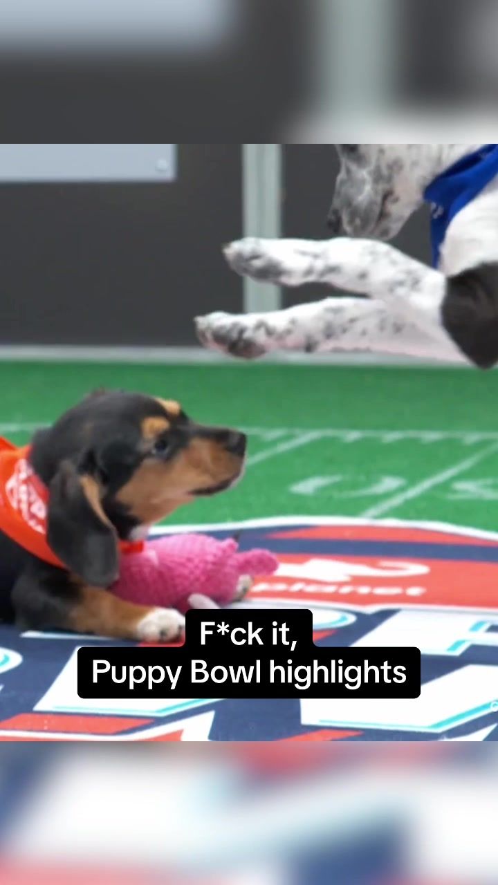 Video post by @bryndonminter on TikTok