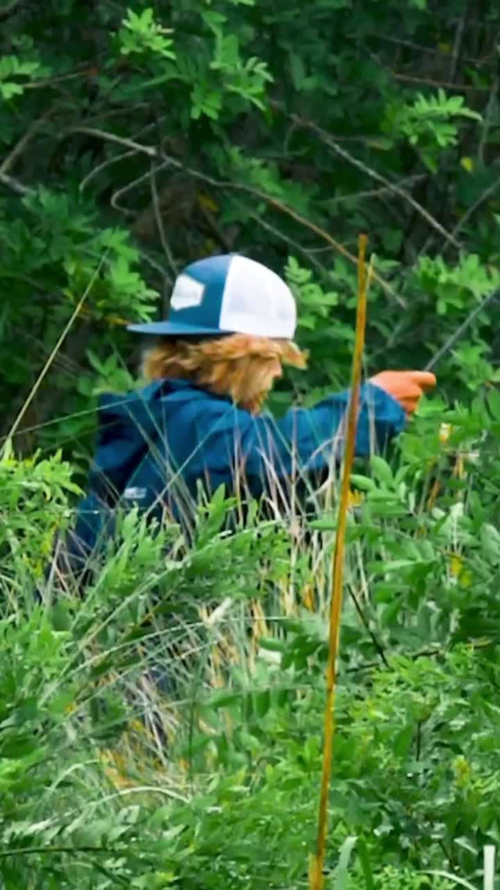 Video post by @calebtacia on TikTok