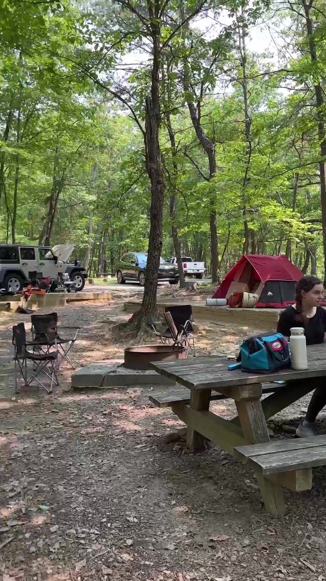 Video post by @thenapanetwork on TikTok