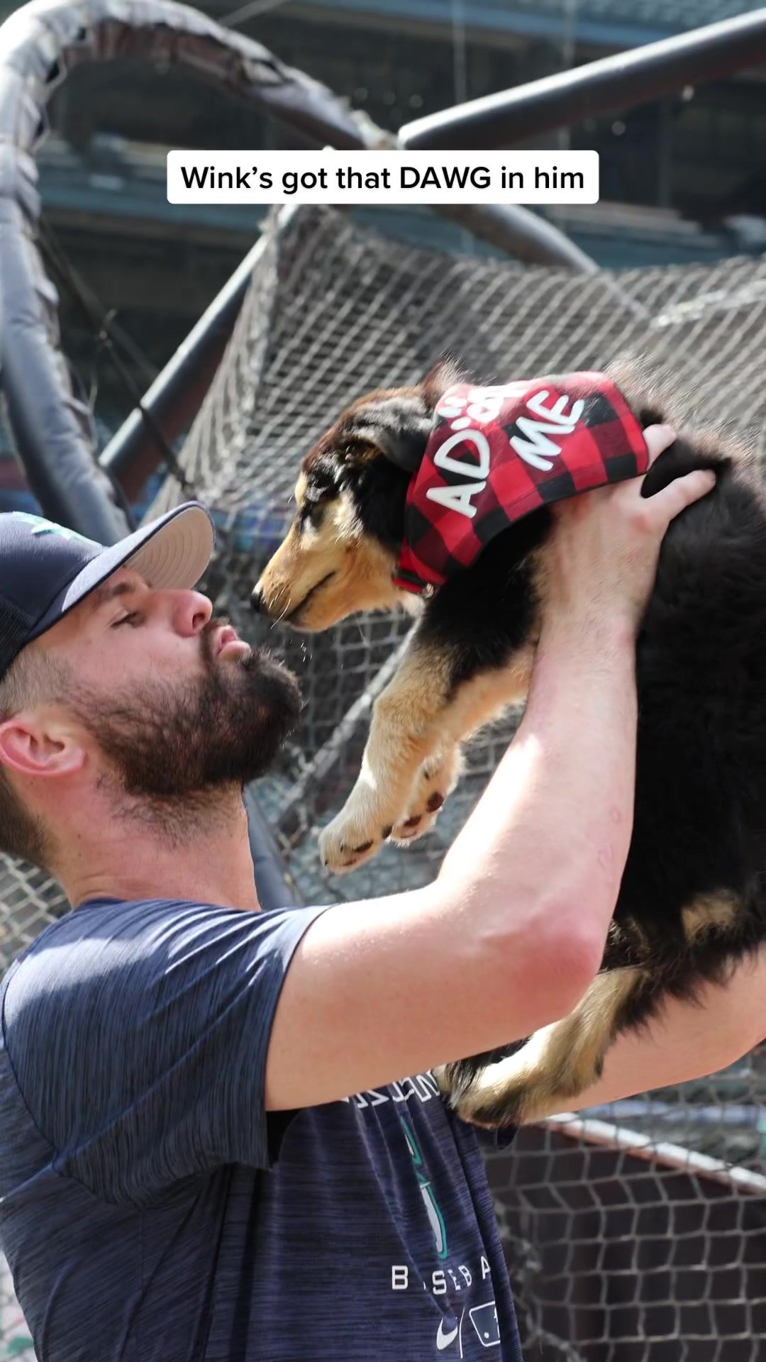 Video post by @mariners on TikTok
