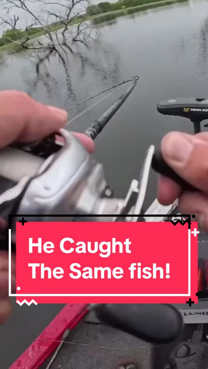 Video post by @googansquadofficial on TikTok