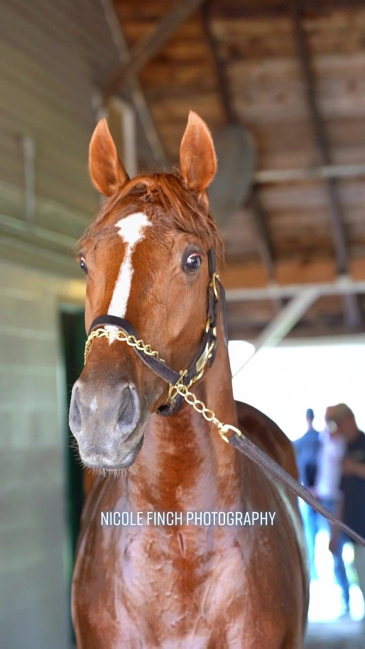 Video post by @nicole_finch on TikTok