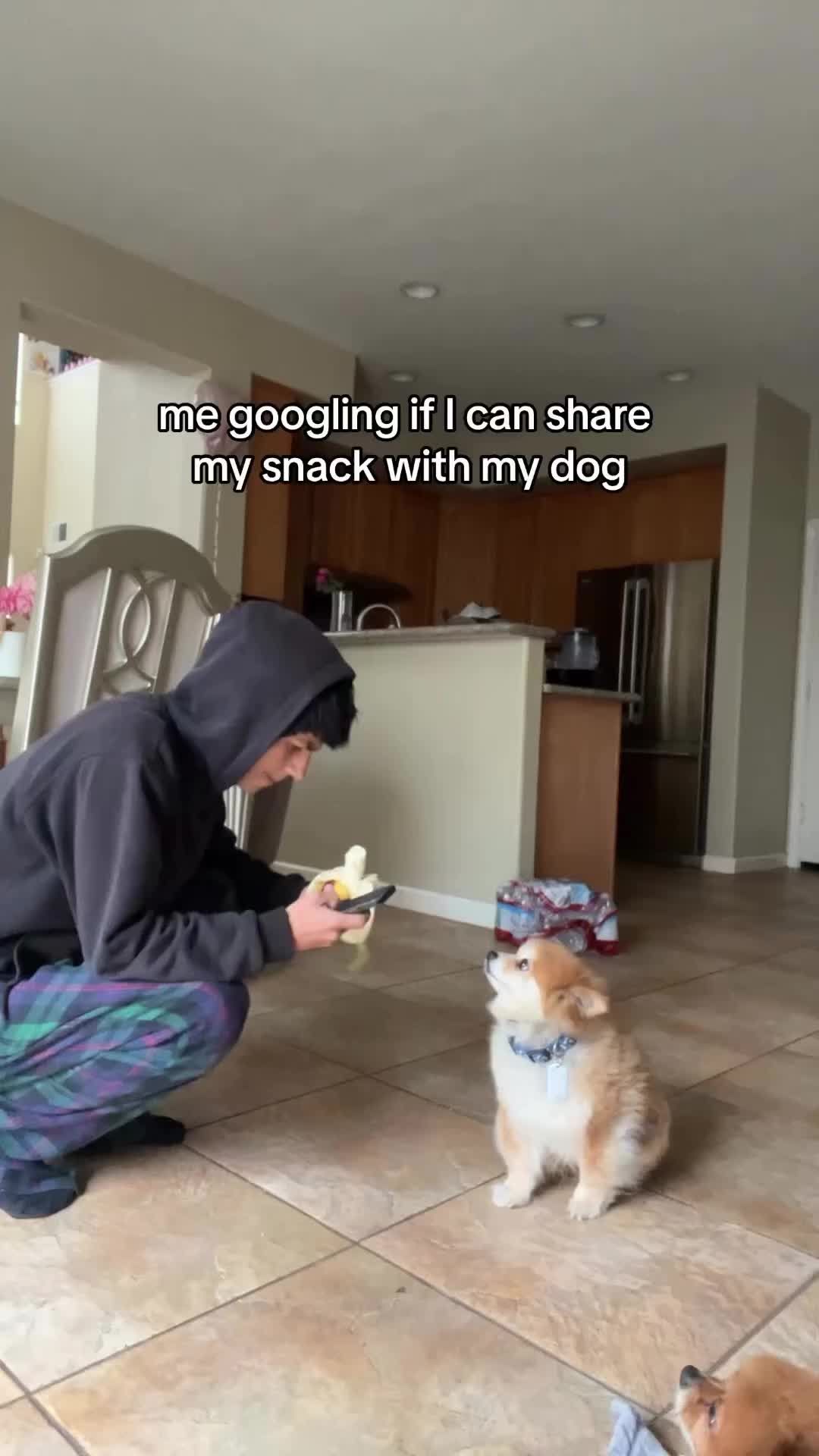 Video post by @bluebuffalo on TikTok