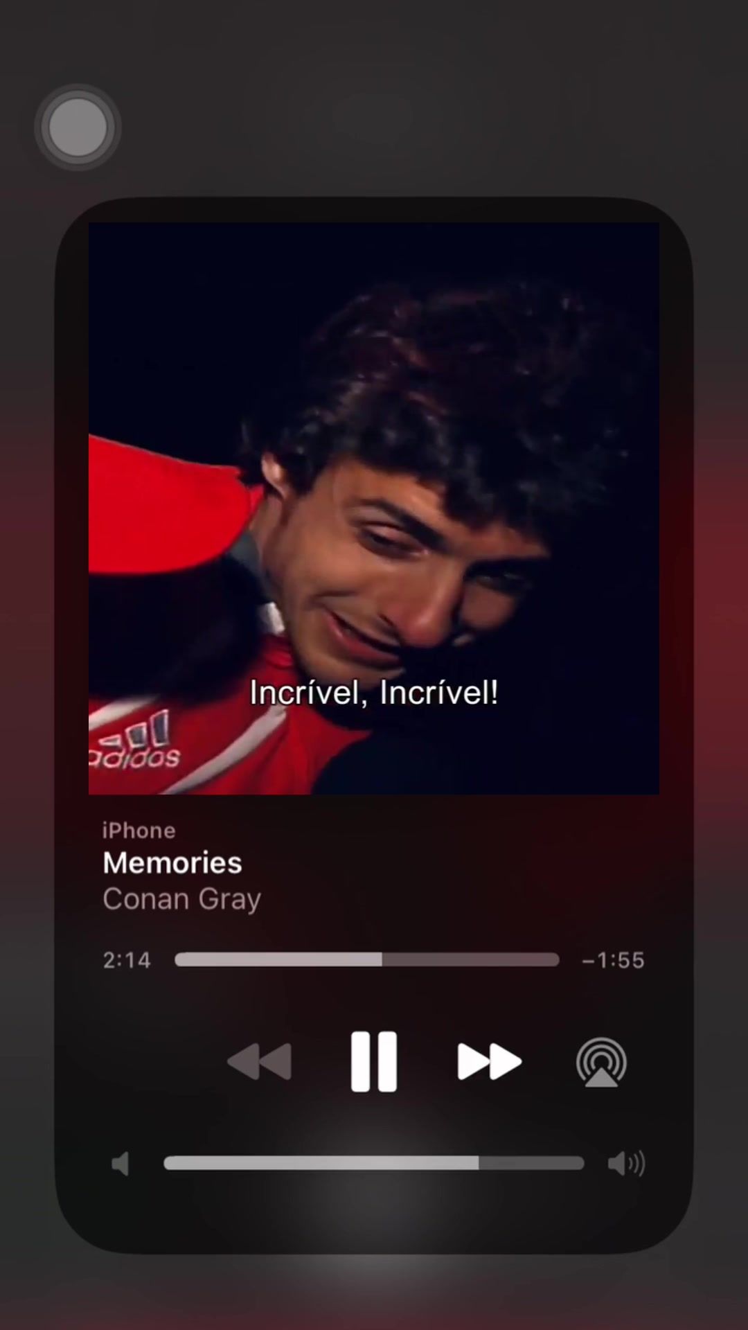 Video post by @slbenfica on TikTok