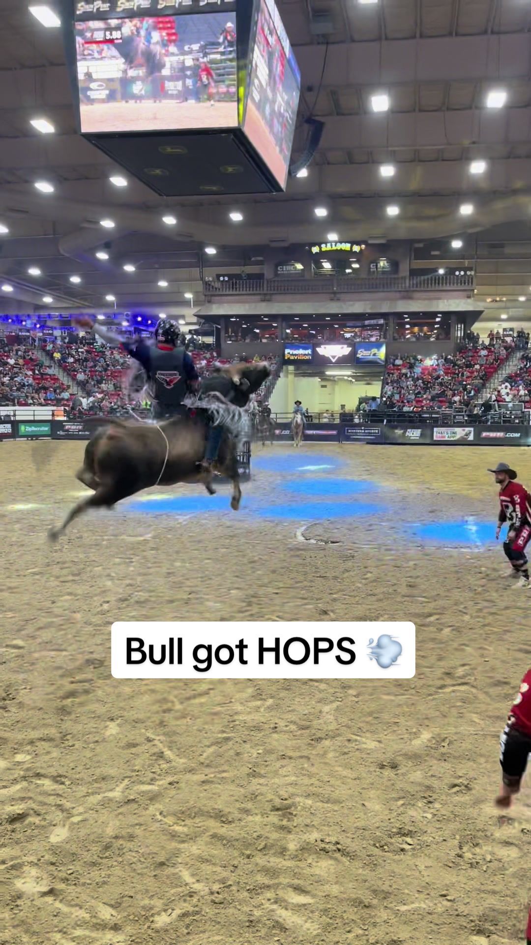 Video post by @pbr on TikTok