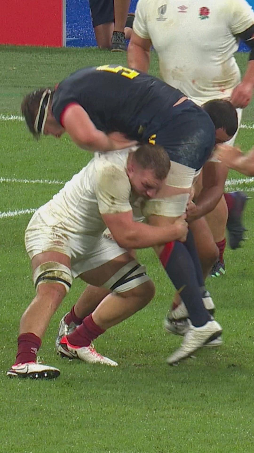 Video post by @rugbyworldcup on TikTok