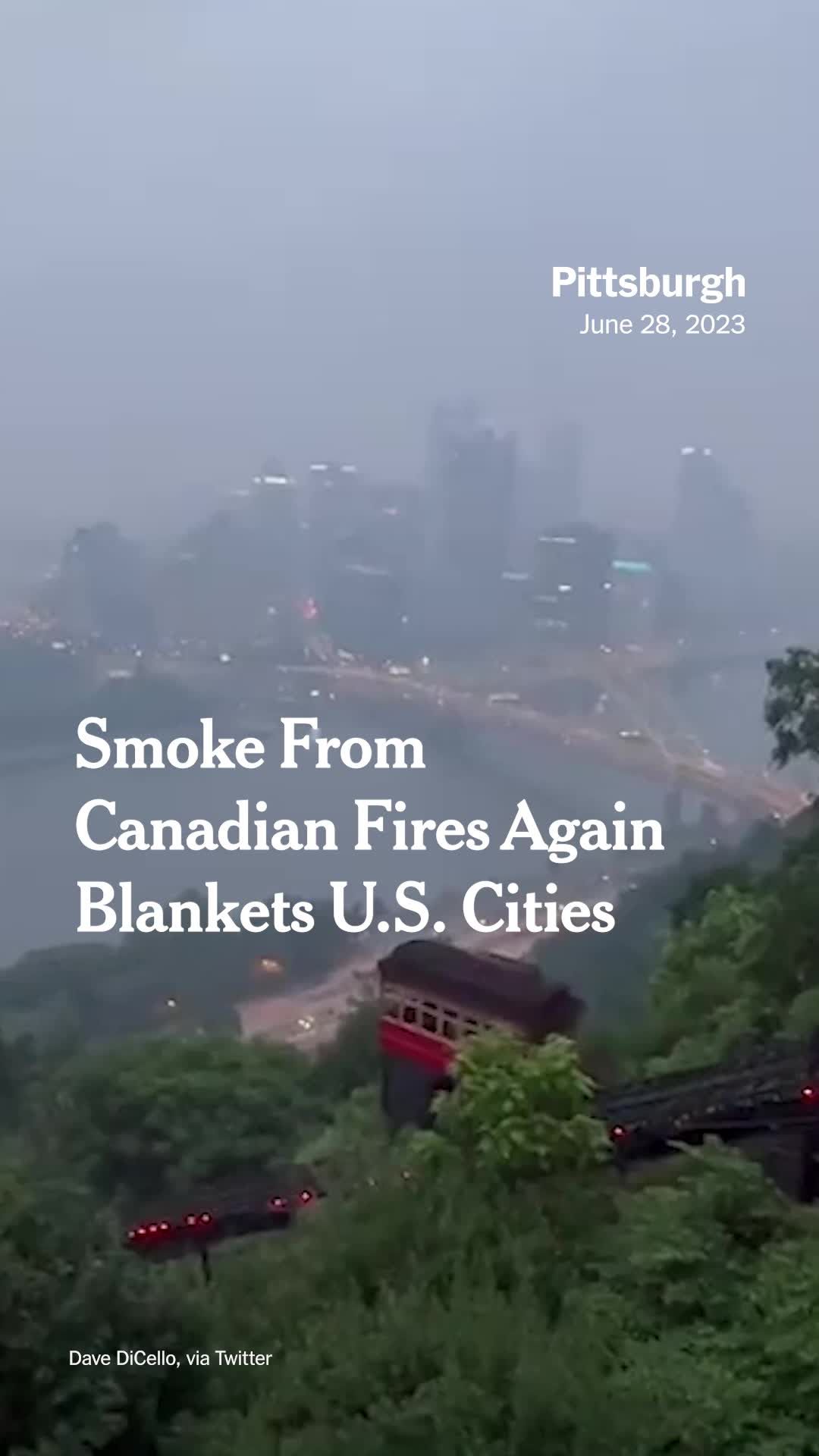 Video post by @nytimes on TikTok