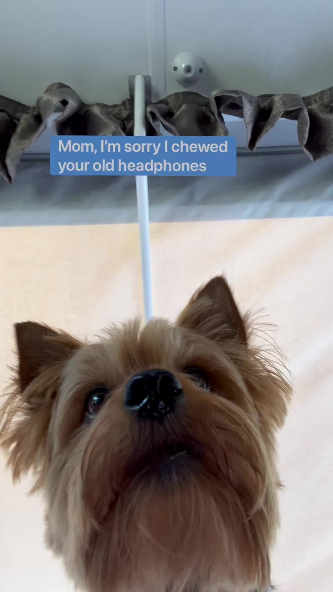 Video post by @bose on TikTok