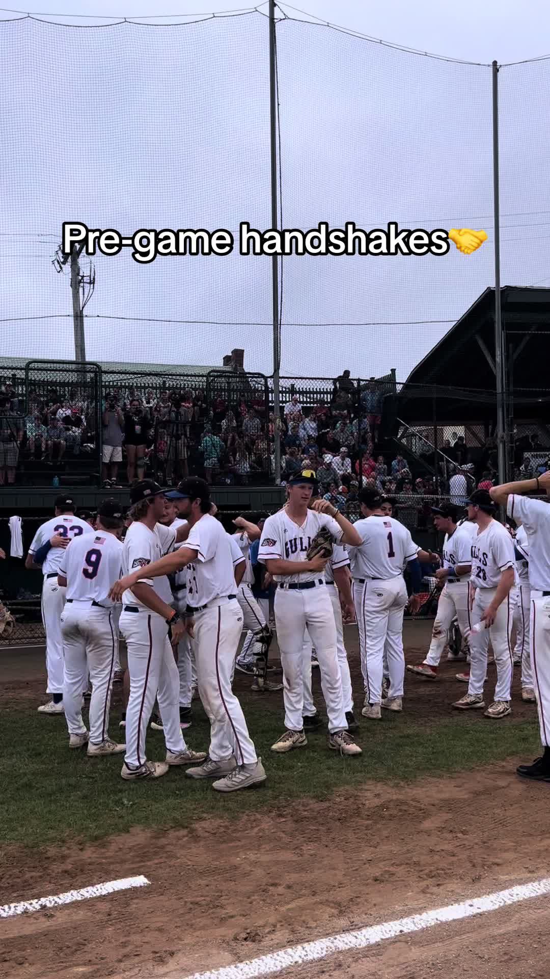 Video post by @newportgulls on TikTok