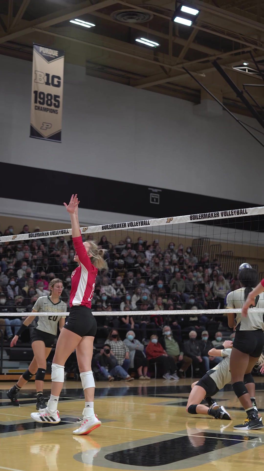 Video post by @indianavb on TikTok