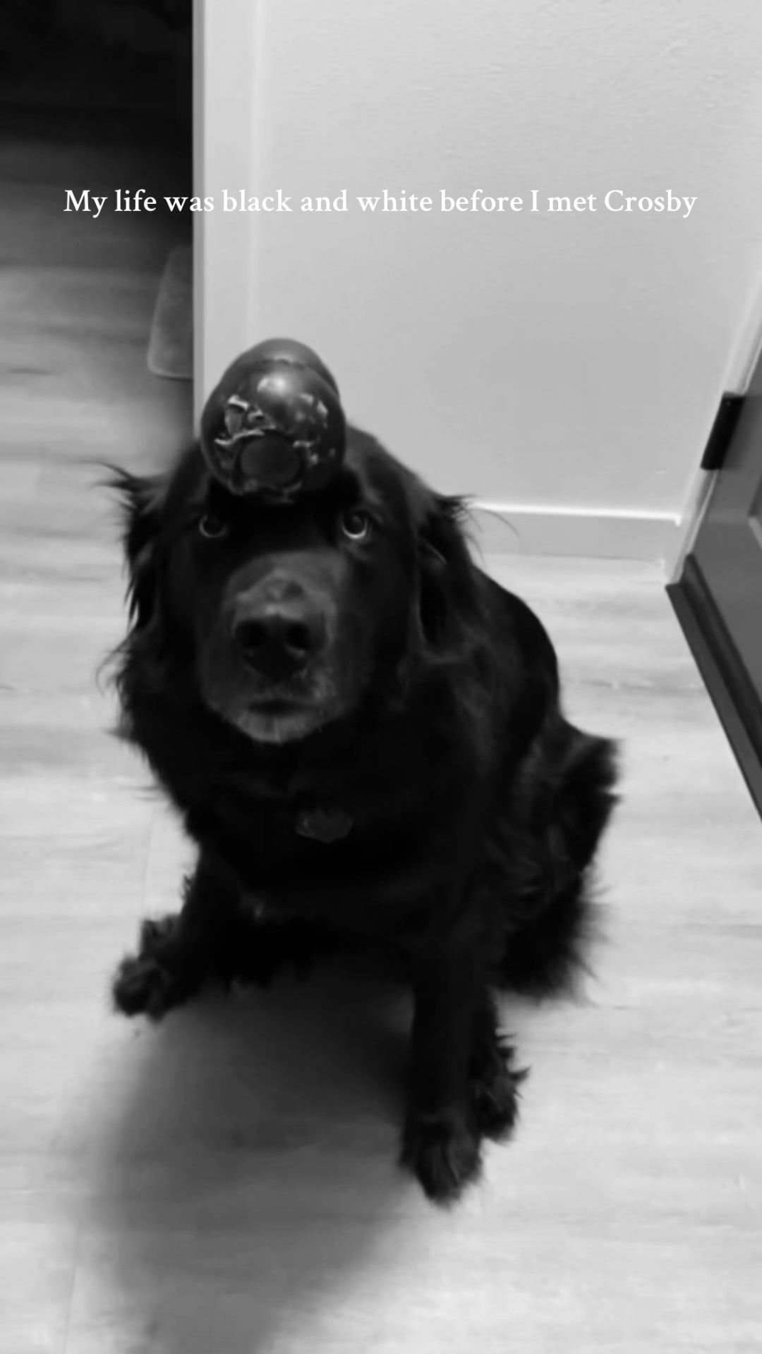 Video post by @candyjimenezzzzz on TikTok