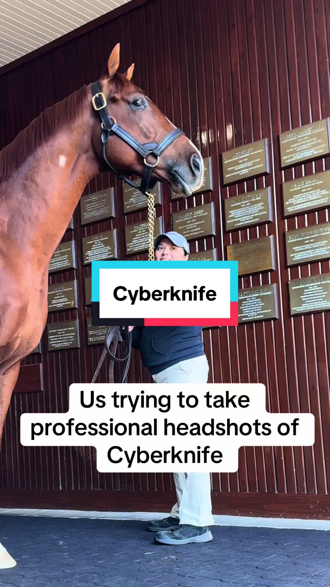 Video post by @spendthriftfarm on TikTok