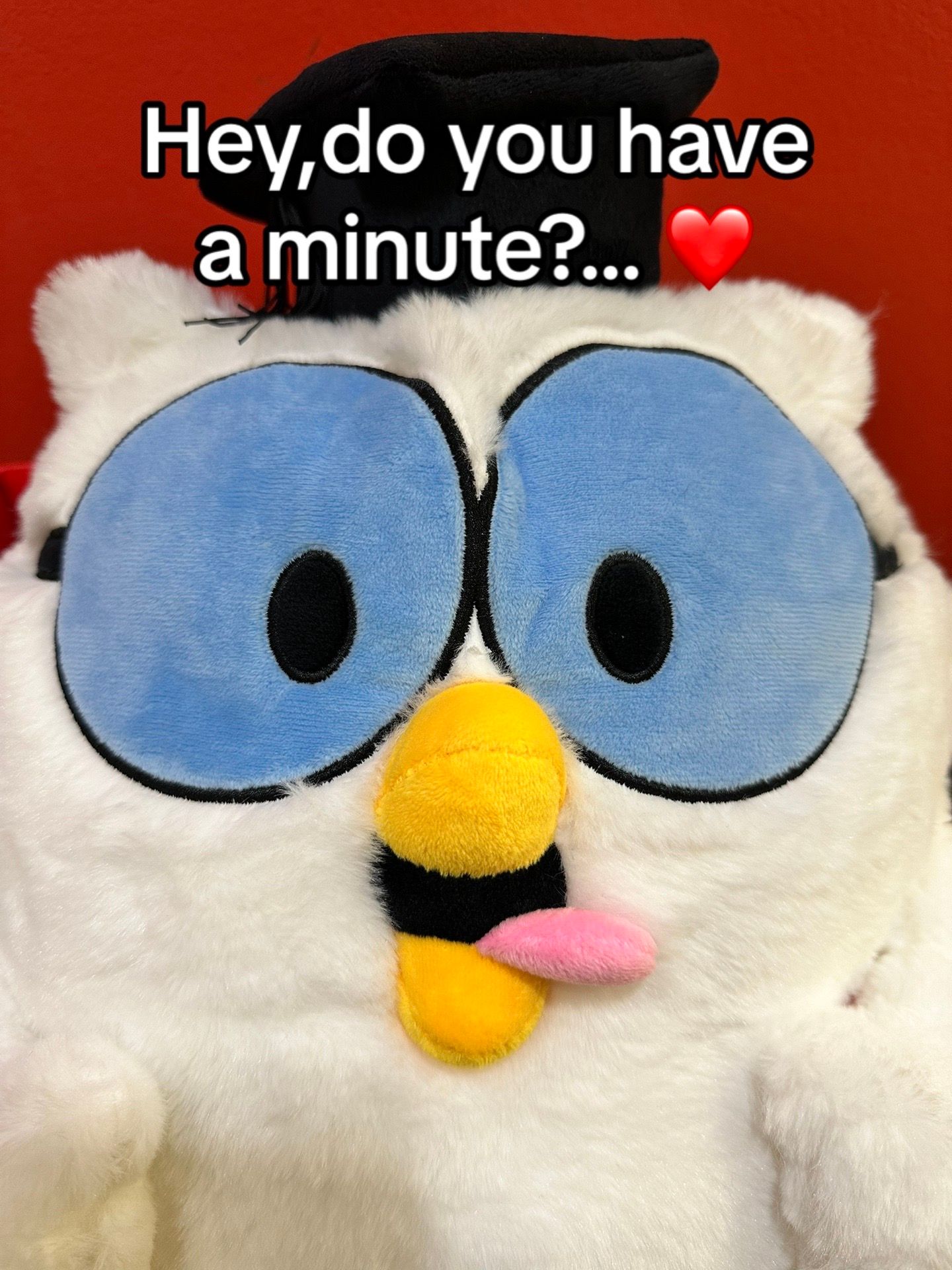 Image post by @tootsieroll on TikTok