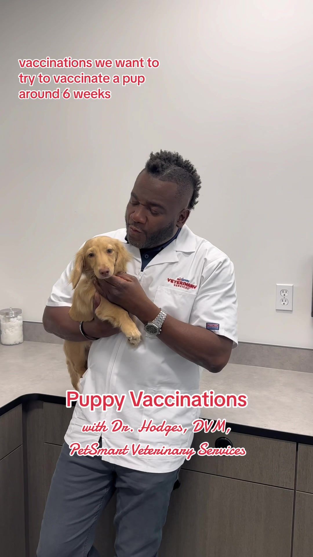 Video post by @petsmart on TikTok