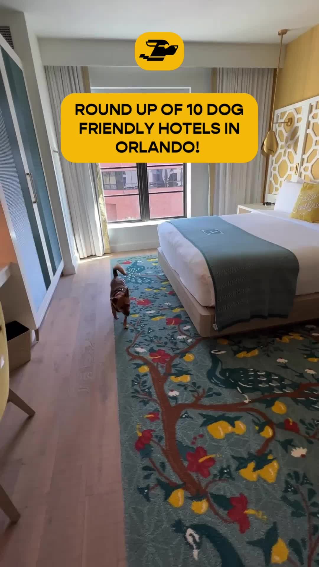 Video post by @jetsetpetsguide on TikTok