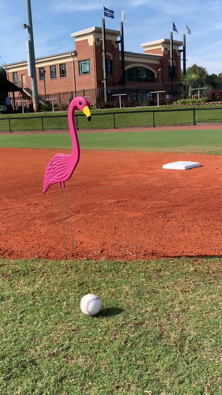 Video post by @florenceflamingos on TikTok