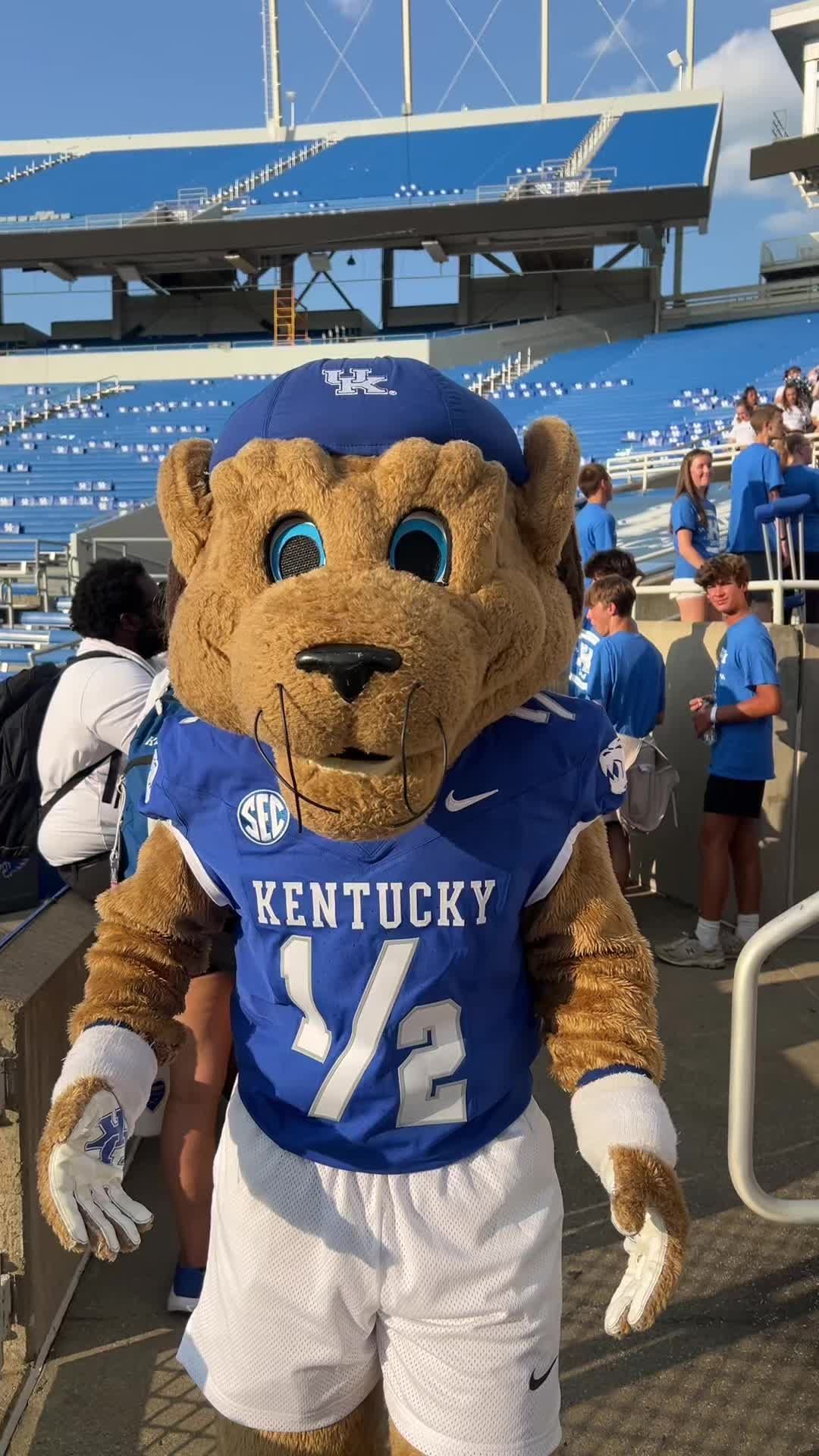 Video post by @_teamwildcat on TikTok