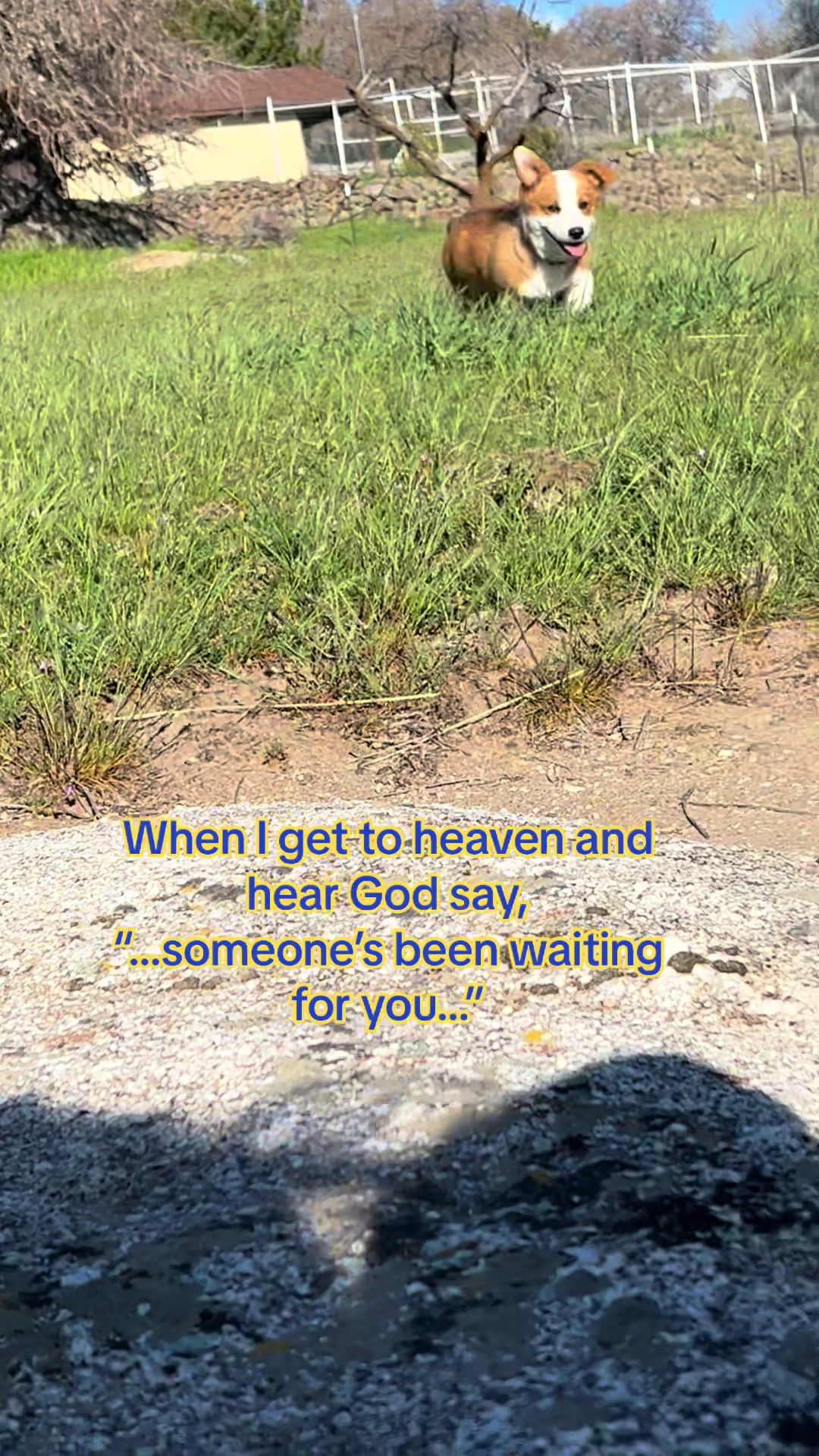 Video post by @claredunnmusic on TikTok