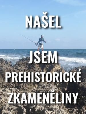 Video post by @realjonaseder on TikTok