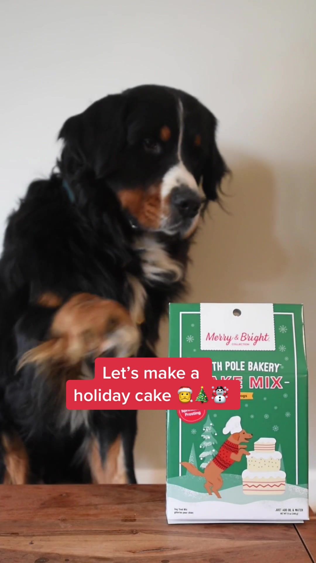 Video post by @petsmart on TikTok