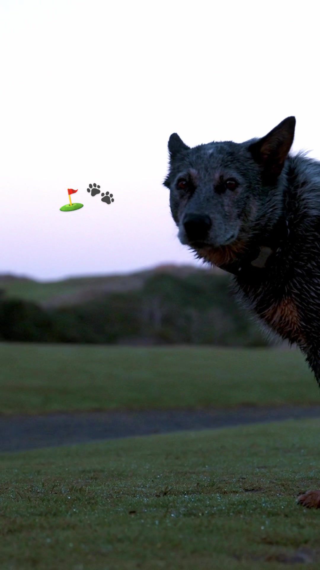 Video post by @carvd.studios on TikTok