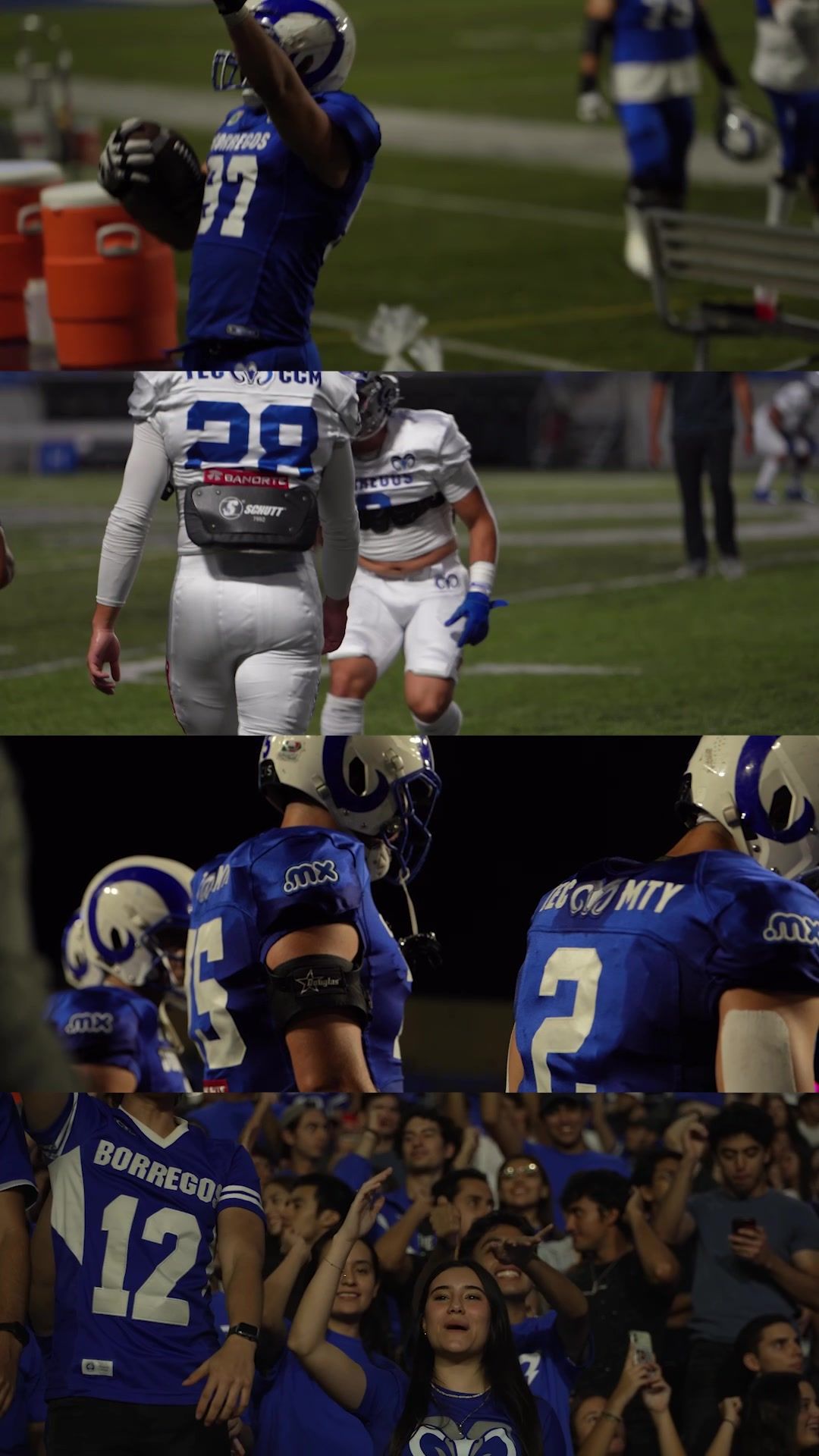 Video post by @borregostec on TikTok