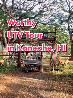 Video post by @thefunsizedfoodie on TikTok