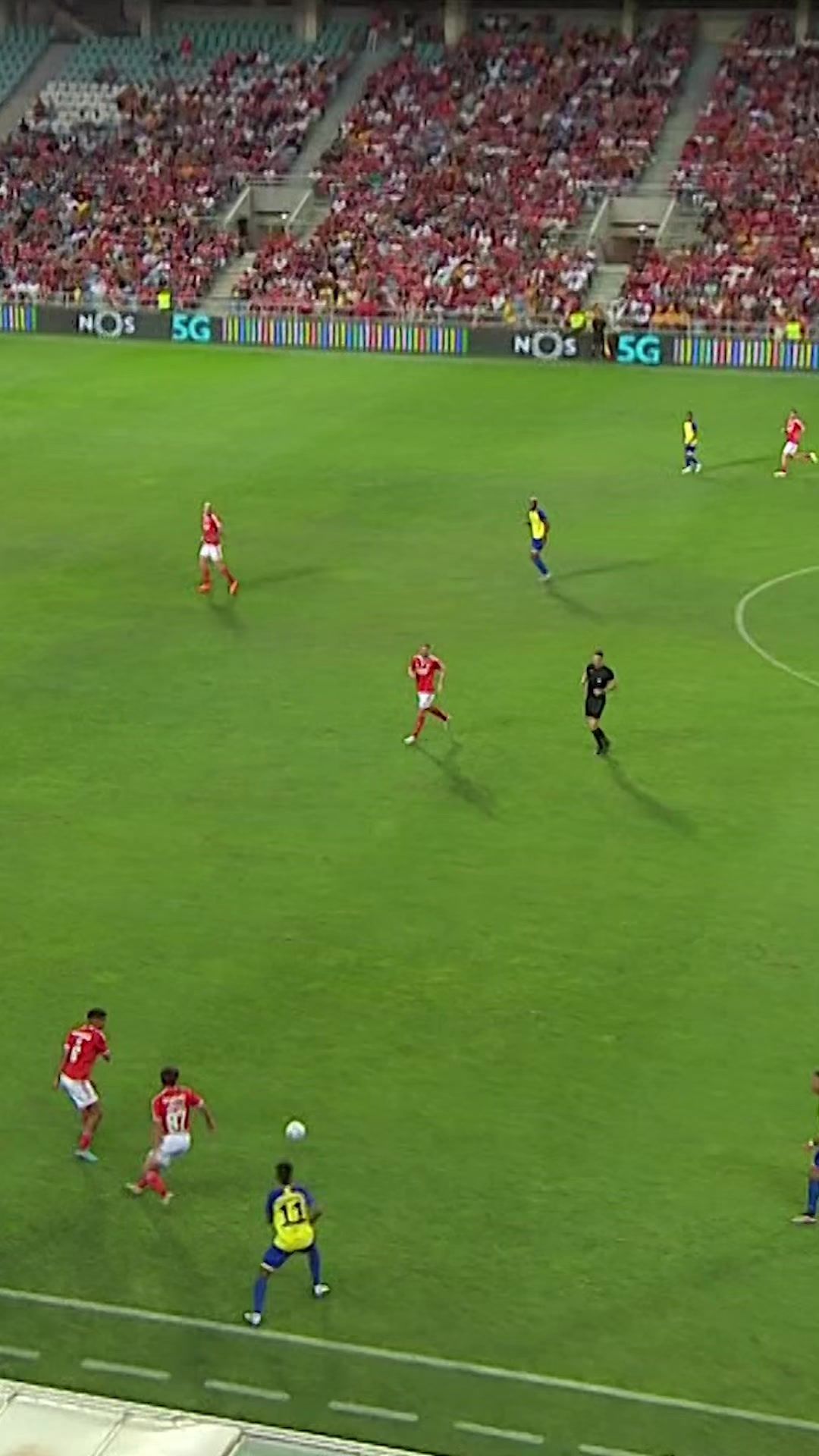 Video post by @slbenfica on TikTok