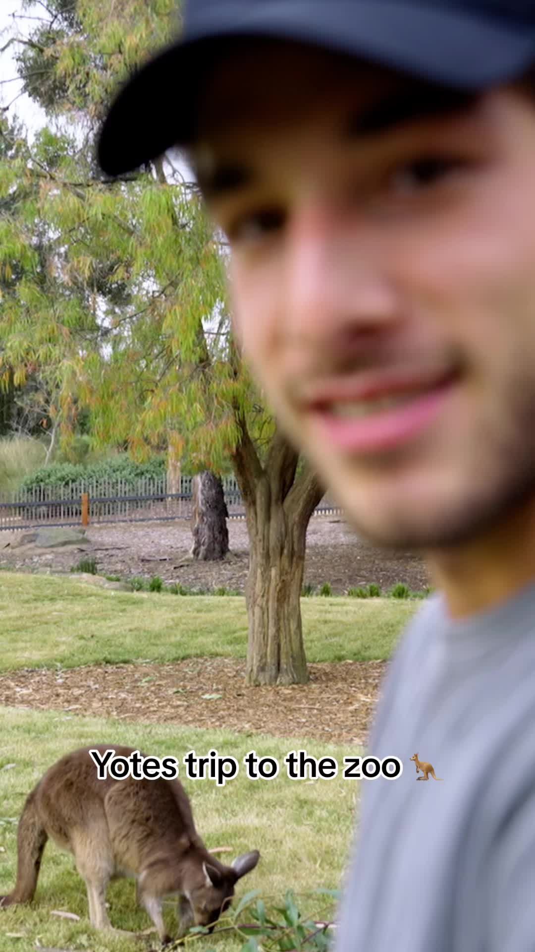 Video post by @nhlcoyotes on TikTok